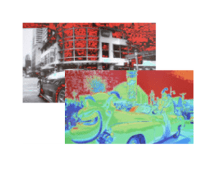 False Color & Luma Check
